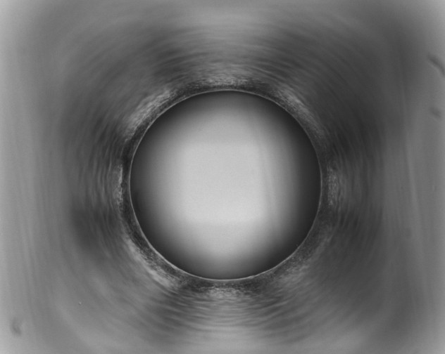 X0000100420490200806131102
