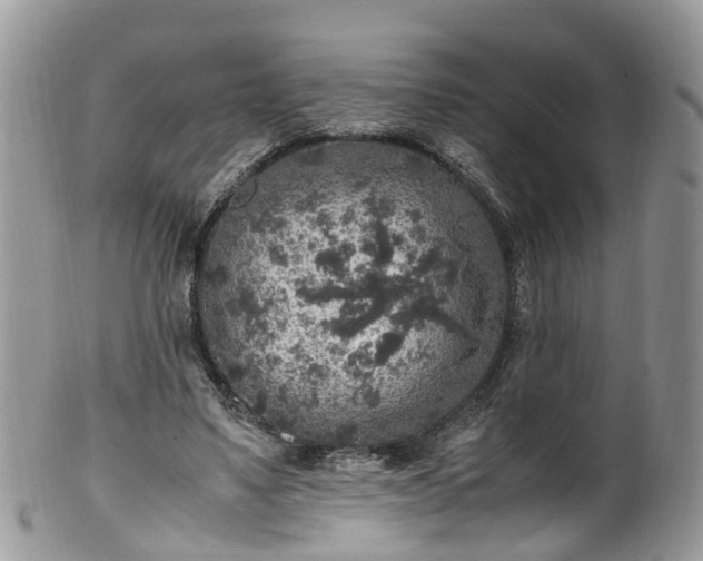 X0000100420491200806131102