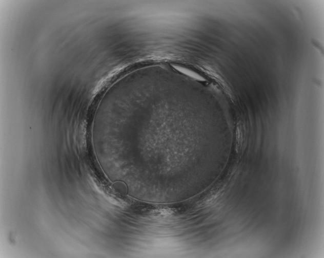X0000100420492200806131102