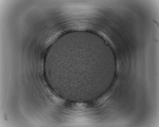 X0000100420493200806131102