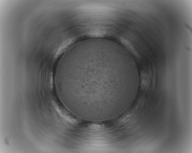 X0000100420494200806131102