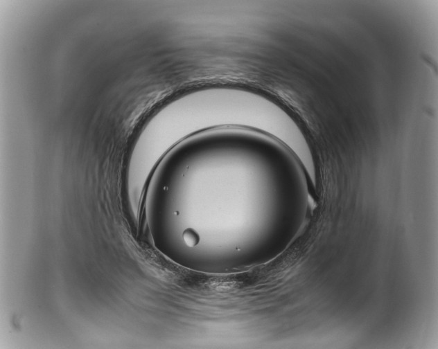 X0000100420495200806131102