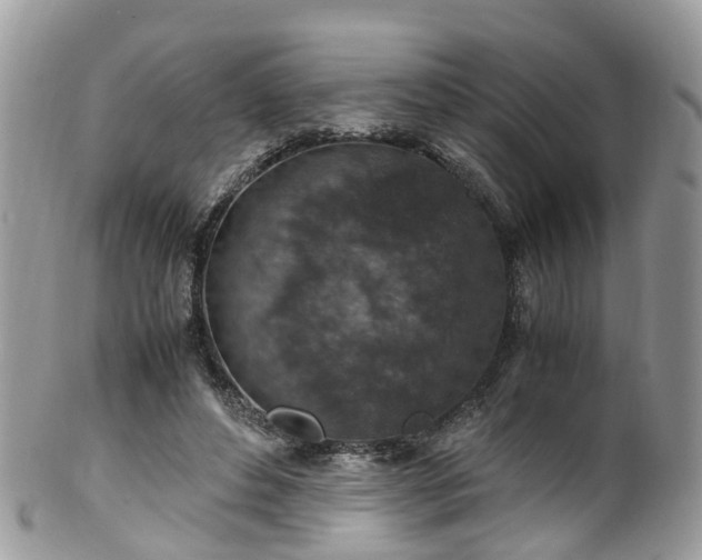 X0000100420496200806131102