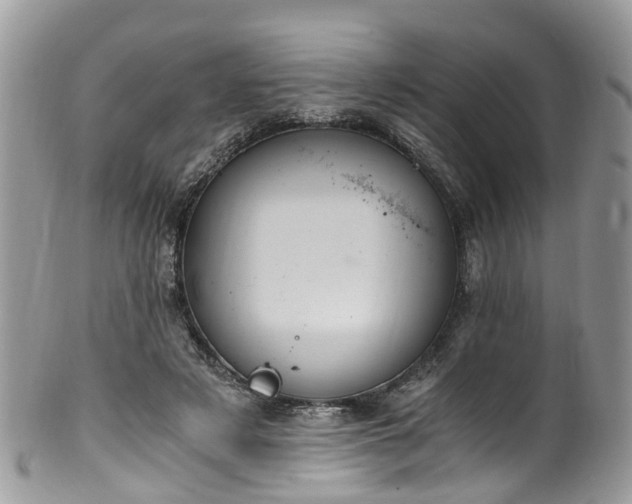 X0000100420497200806131102