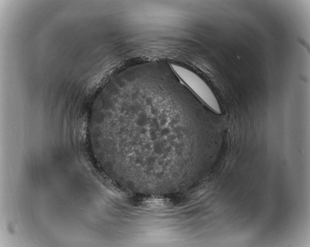 X0000100420499200806131102