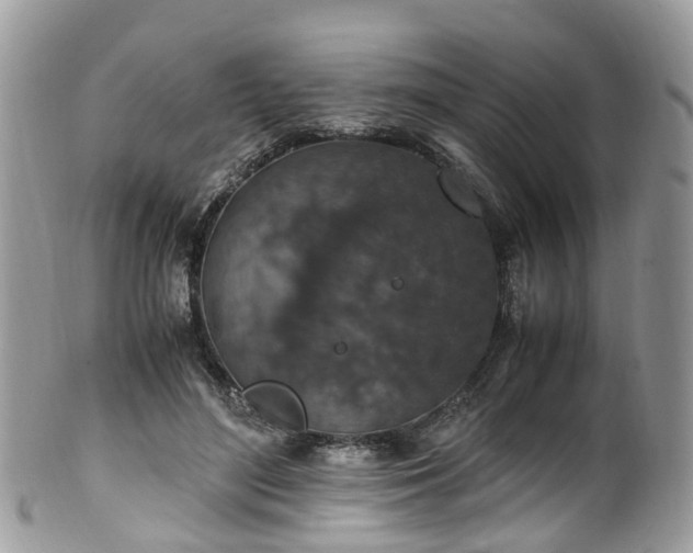 X0000100420500200806131102