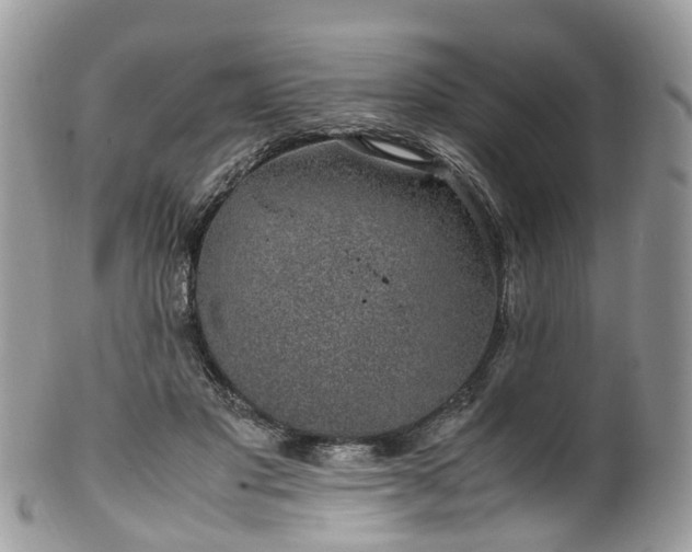 X0000100420501200806131102