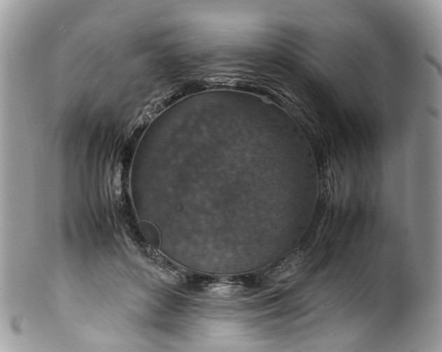 X0000100420504200806131102