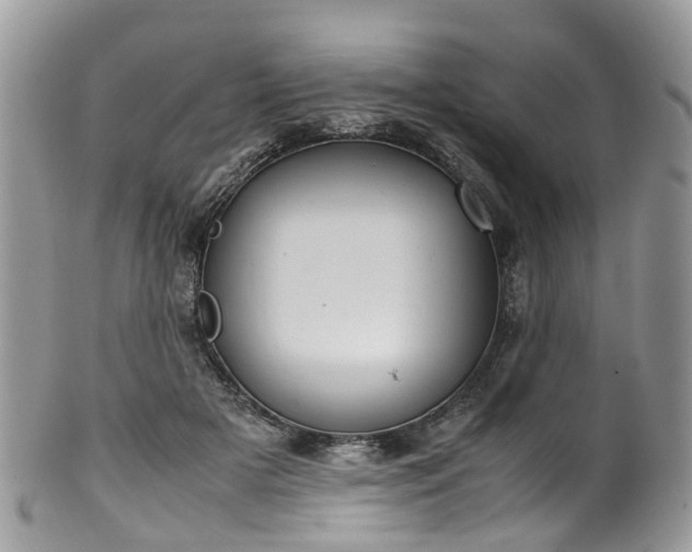 X0000100420505200806131102
