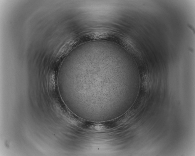 X0000100420506200806131102
