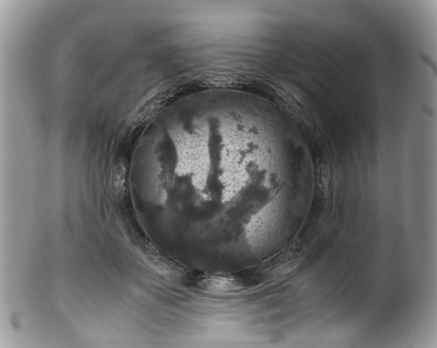 X0000100420507200806131102