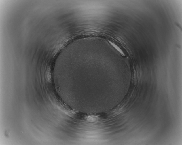 X0000100420508200806131102