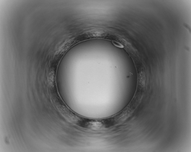 X0000100420509200806131102