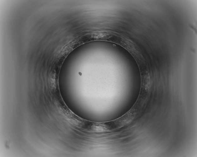 X0000100420510200806131102
