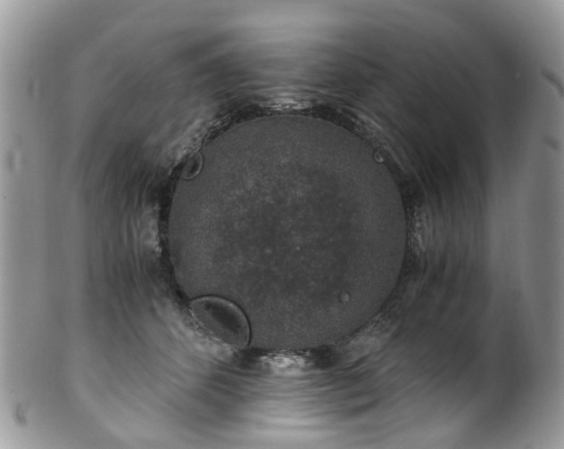 X0000100420512200806131102