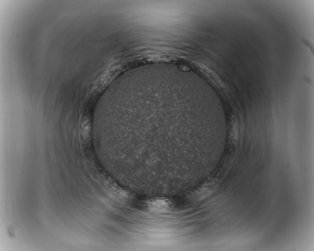 X0000100420513200806131102