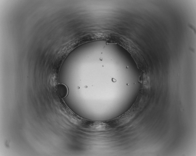 X0000100420514200806131101