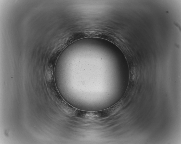 X0000100420515200806131101