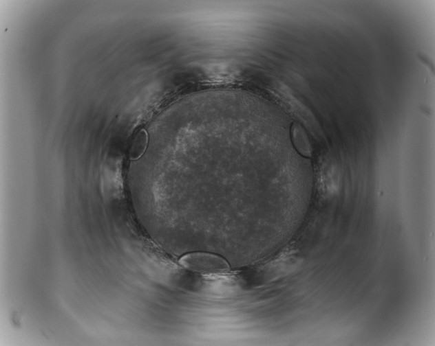 X0000100420516200806131101