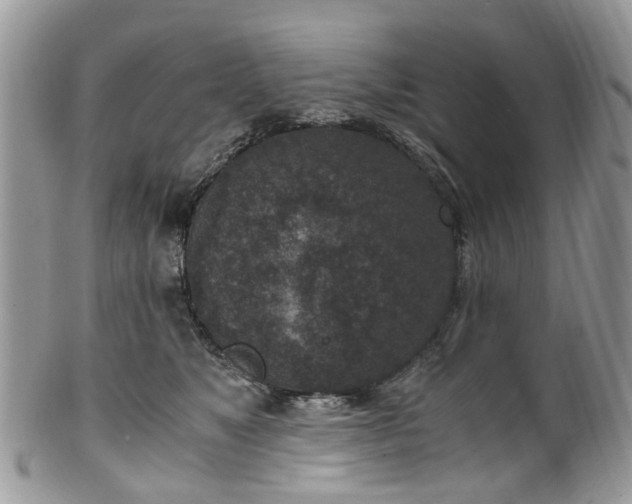X0000100420517200806131101