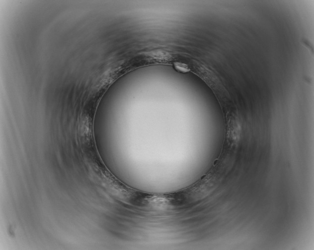 X0000100420518200806131101