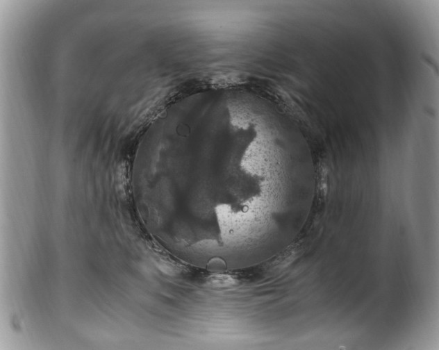 X0000100420519200806131101