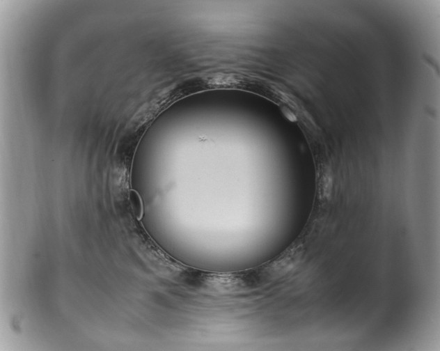 X0000100420521200806131101
