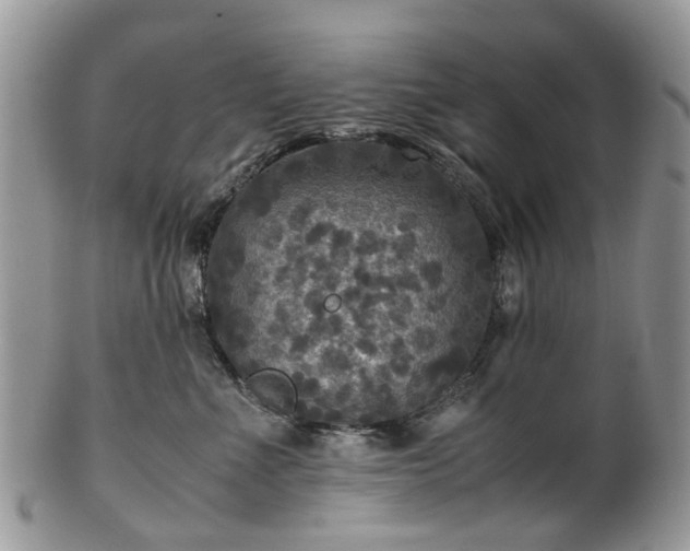 X0000100420523200806131101