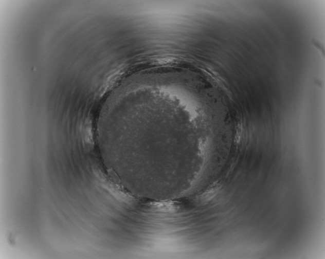 X0000100420524200806131101