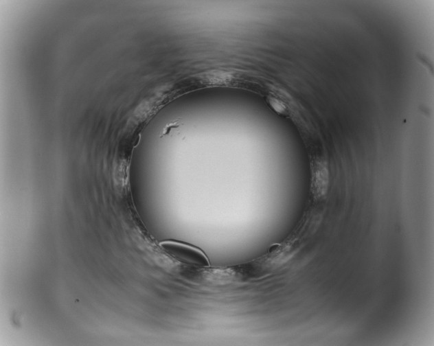 X0000100420525200806131101