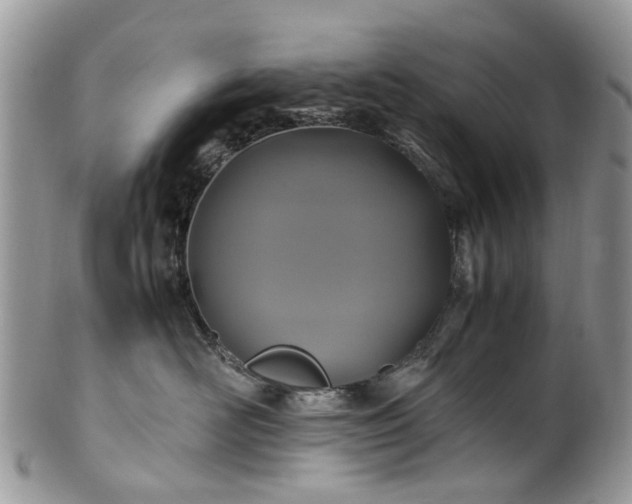 X0000100420526200806131101
