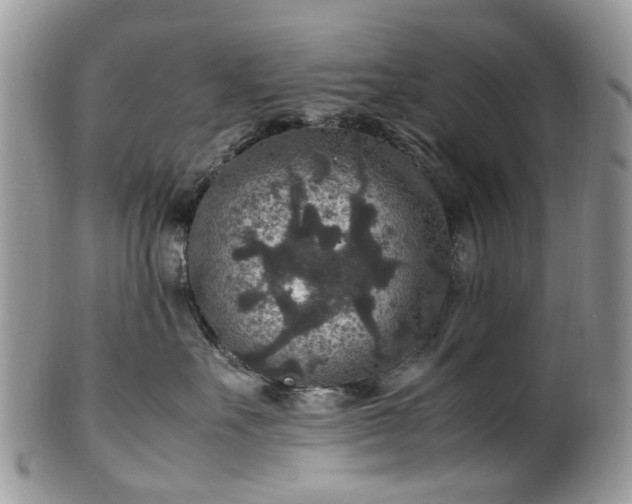 X0000100420527200806131101