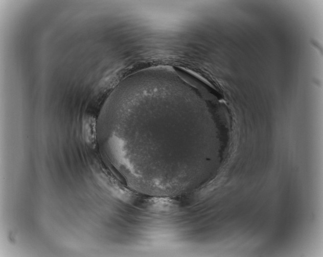 X0000100420528200806131101