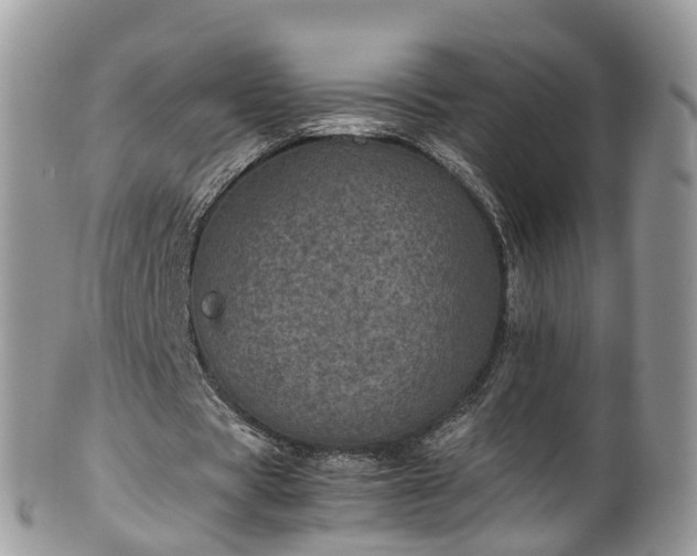 X0000100420529200806131101