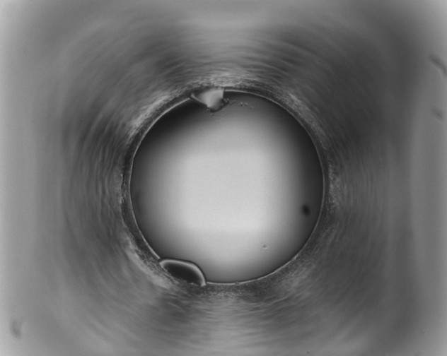 X0000100420530200806131101