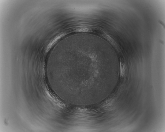 X0000100420531200806131101
