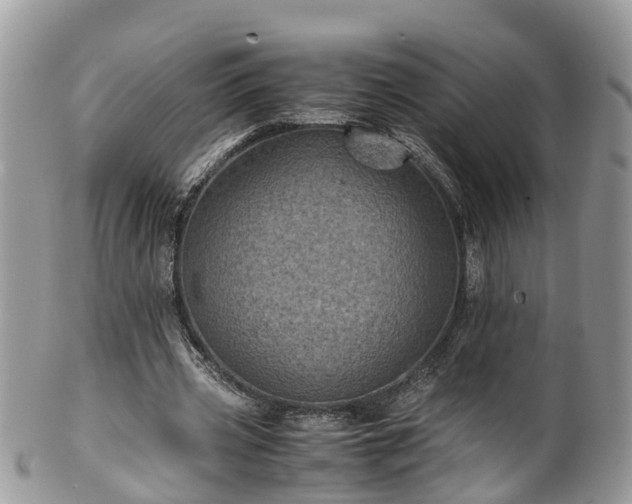 X0000100420533200806131101