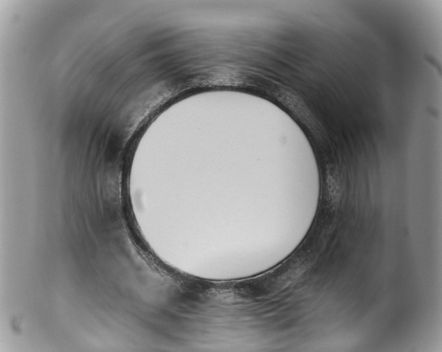 X0000100420534200806131101