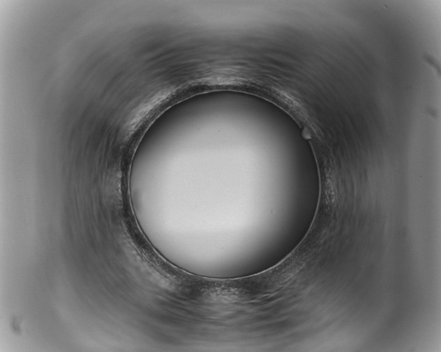 X0000100420535200806131101