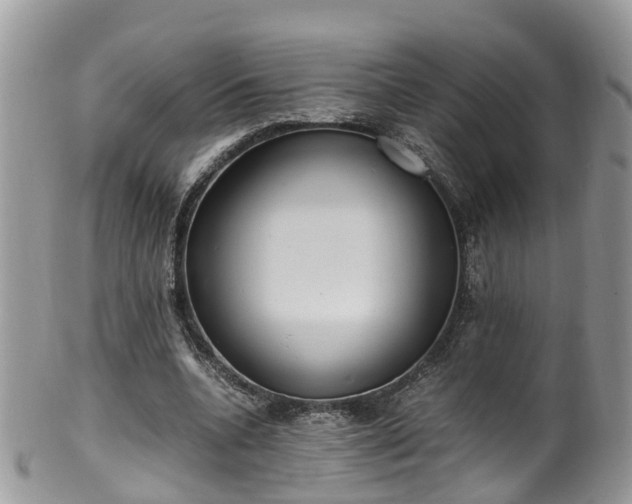 X0000100420536200806131101