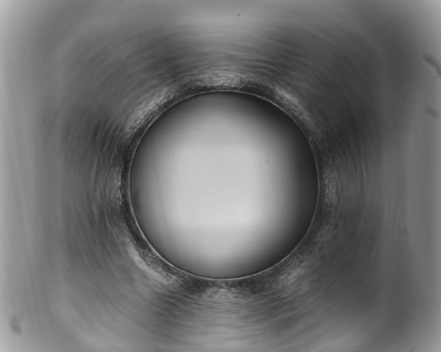 X0000100420538200806131101