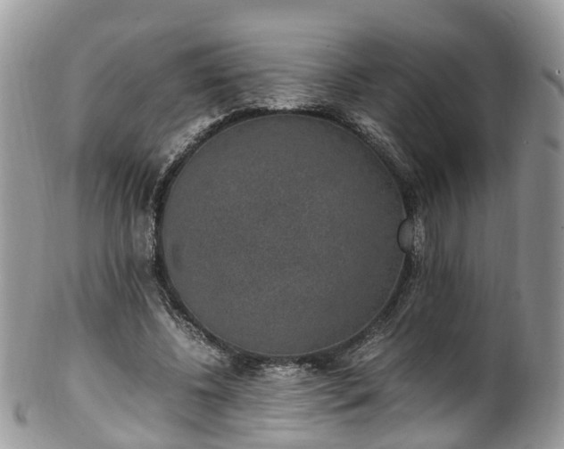 X0000100420540200806131101