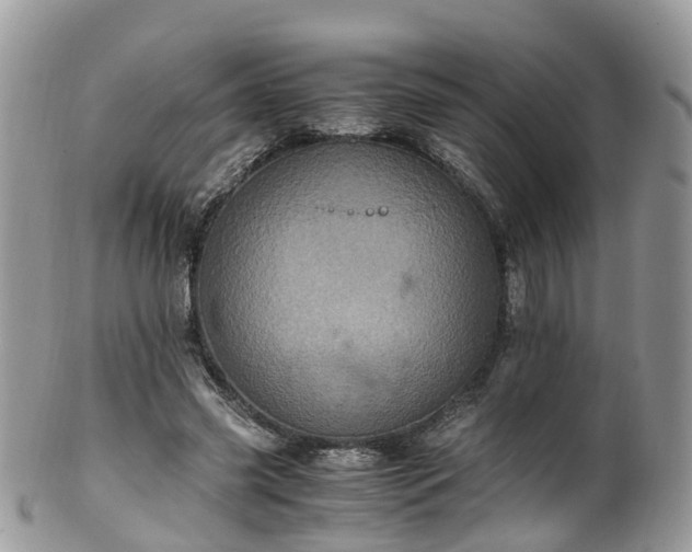 X0000100420541200806131101