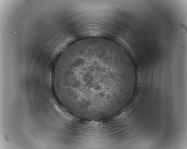 X0000100420542200806131101