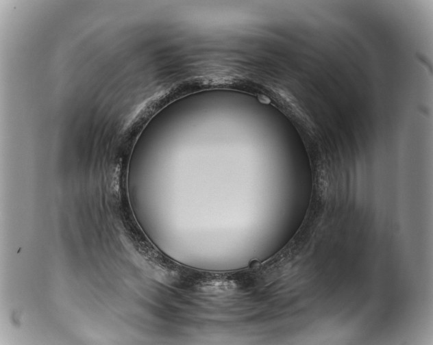 X0000100420543200806131101