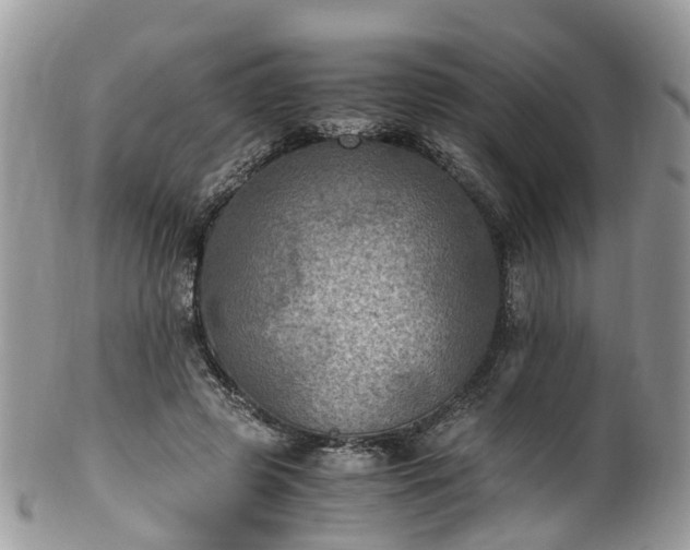 X0000100420545200806131101