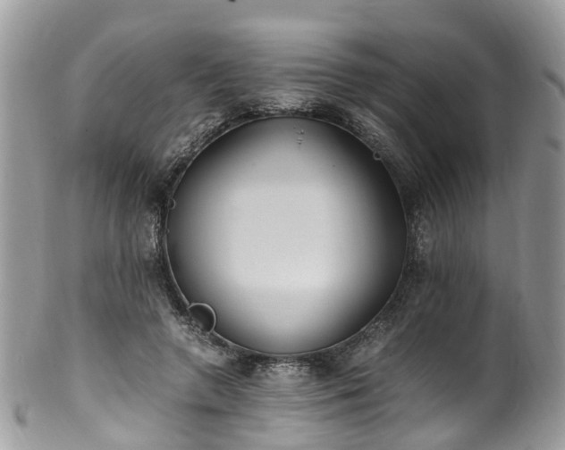 X0000100420546200806131101