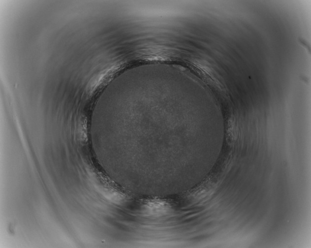 X0000100420547200806131101