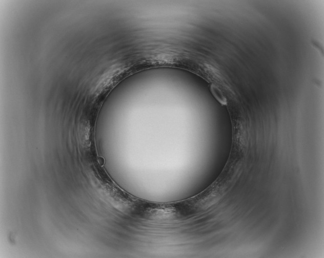 X0000100420548200806131101
