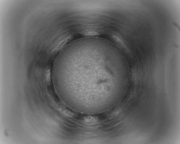 X0000100420549200806131101